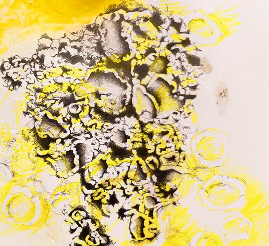 Restitution de résidence à Aponia / Nadine Lahoz Quilez