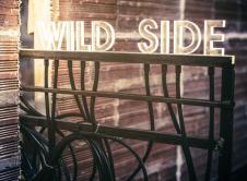  Armand Lestard "WALK ON THE WILD SIDE"/ Photo Ludovic Picard