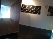 Epidermies/Anne Gavarret/Claire Labastie/Annick Naour/Sabine Dizel/Tia Calli Borlase Aponia, lieu d'art contemporain