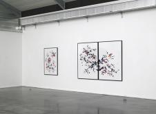 Radix générescences / Julien Sirven / Installation à Aponia