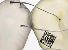 Jean-Christophe de Clercq / Biennale de Lyon / Résonance / Aponia